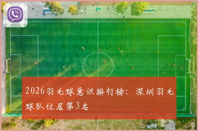 2026羽毛球意识排行榜：深圳羽毛球队位居第3名