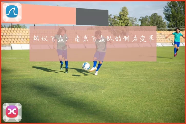 热议飞盘：南京飞盘队的耐力变革