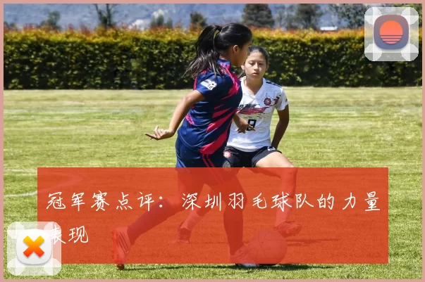 冠军赛点评：深圳羽毛球队的力量表现