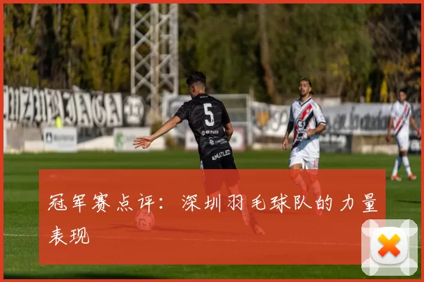 冠军赛点评：深圳羽毛球队的力量表现