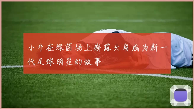 小牛在绿茵场上崭露头角成为新一代足球明星的故事