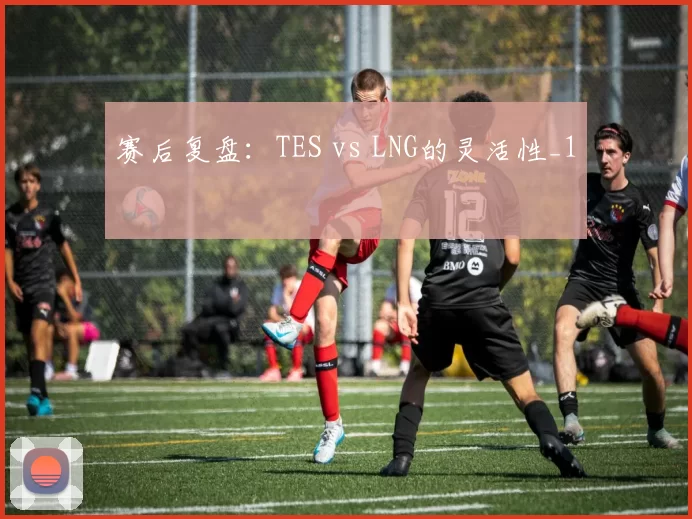 赛后复盘：TES vs LNG的灵活性_1