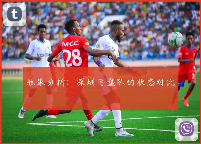 独家分析：深圳飞盘队的状态对比