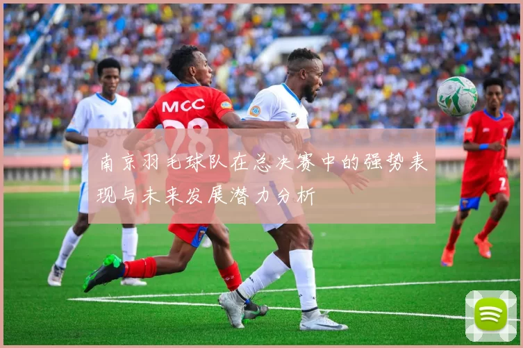 南京羽毛球队在总决赛中的强势表现与未来发展潜力分析