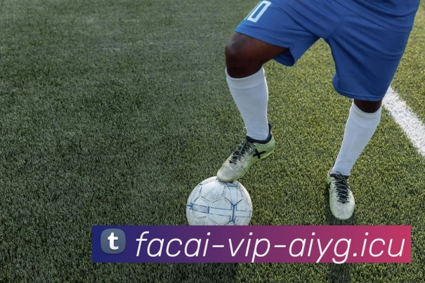 乐鱼体育发展历程