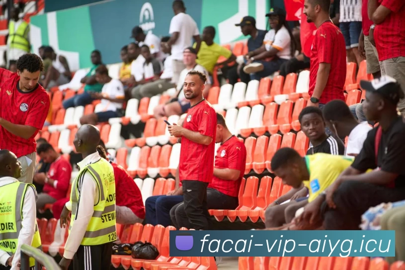 冠军赛点评：深圳羽毛球队的力量表现